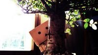 pic for Little Danbo Hiding Behind Plant 
